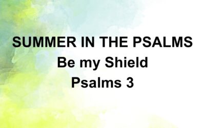Be My Shield